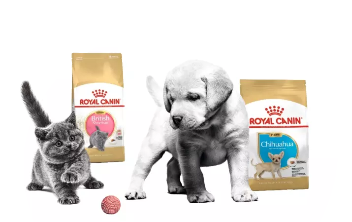 Скидка 30% на корм Royal Canin Скидка 30% на корм Royal Canin
