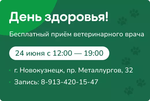 24 июня - День здоровья!