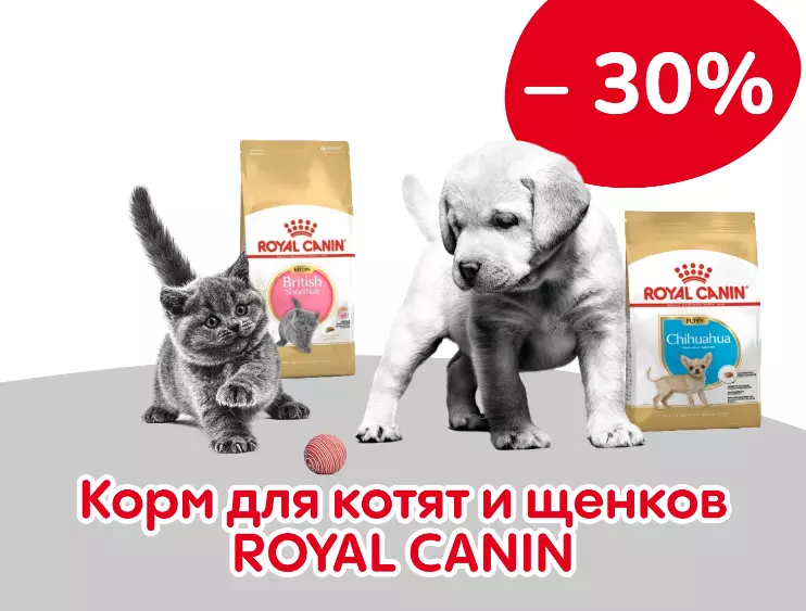 Royal Canin для котят и щенков со скидкой 30%