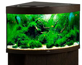 Screenshot_10 Screenshot_10