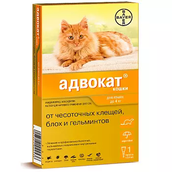 fcsqbd976353cnf5um7sxdkh2j45u5th fcsqbd976353cnf5um7sxdkh2j45u5th