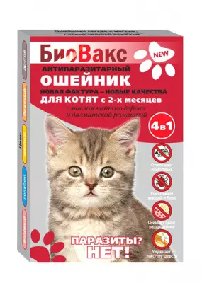 53993_small 53993_small