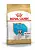 Royal Canin Корм для щенков французского бульдога до 12 месяцев, 3 кг