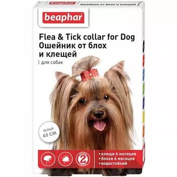 772256951-bf100003-800x800 772256951-bf100003-800x800