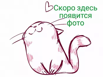 1654507684760