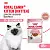 Royal Canin Пауч для котят Кусочки в соусе, 85 гр
