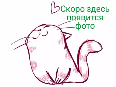 1654507684760