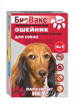 53995_small 53995_small