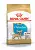 Royal Canin Корм для щенков чихуахуа до 8 месяцев, 0,5 кг