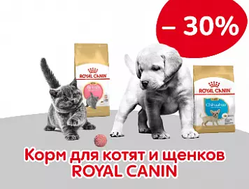 Royal Canin для котят и щенков со скидкой 30%