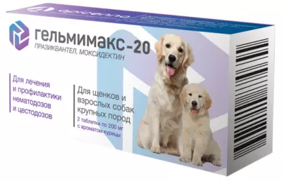 gelmimax-20sobakiweb.c141e96d3bf1a13cbdc7cdd827299b3018 gelmimax-20sobakiweb.c141e96d3bf1a13cbdc7cdd827299b3018