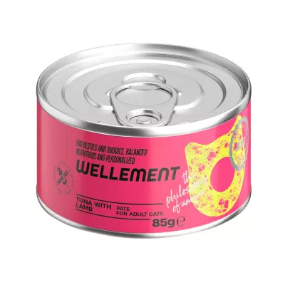 eydki3gvsfxyxzvqhssvwct8wb0y4ee7