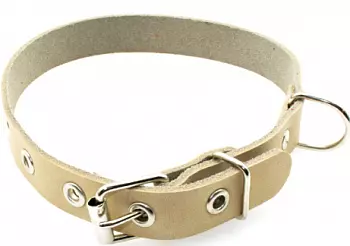 Screenshot_81