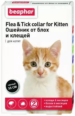 100001281712b0